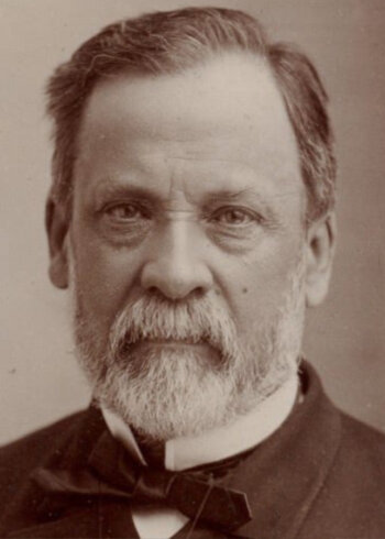 Restauration et fabrication des papiers peints de la Maison de Louis Pasteur